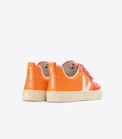 V-10 X THE ANIMALS OBSERVATORY ORANGE><noscript><img data-lazyloaded=