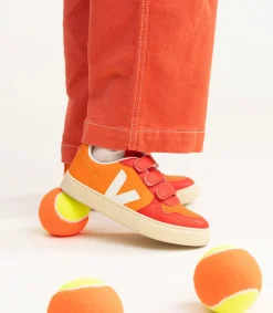 V-10 X THE ANIMALS OBSERVATORY ORANGE><noscript><img data-lazyloaded=